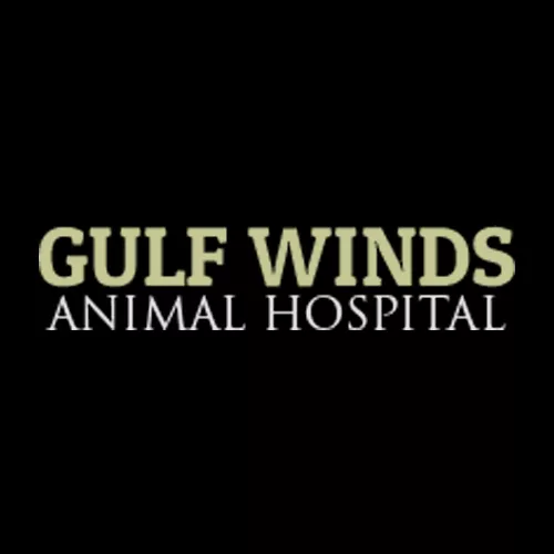 Vicki L Fountain, DVM - Gulf Winds Animal Hospital, Florida, Panama City Beach